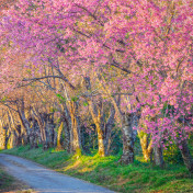 Панно Affresco, коллекция Фрески и фотообои, артикул ID13403