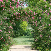 Панно Affresco, коллекция Фрески и фотообои, артикул ID13408