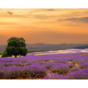 Панно Affresco, коллекция Фрески и фотообои, артикул ID13438