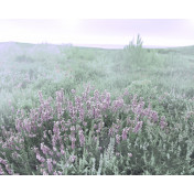 Панно Affresco, коллекция Фрески и фотообои, артикул ID13450