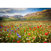 Панно Affresco, коллекция Фрески и фотообои, артикул ID13456