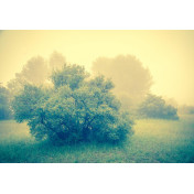 Панно Affresco, коллекция Фрески и фотообои, артикул ID13458