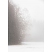 Панно Affresco, коллекция Фрески и фотообои, артикул ID13469