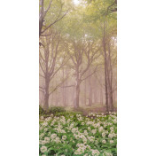 Панно Affresco, коллекция Фрески и фотообои, артикул ID13470