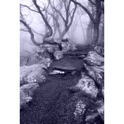 Панно Affresco, коллекция Фрески и фотообои, артикул ID13472