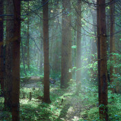 Панно Affresco, коллекция Фрески и фотообои, артикул ID13473