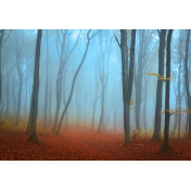 Панно Affresco, коллекция Фрески и фотообои, артикул ID13475