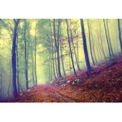 Панно Affresco, коллекция Фрески и фотообои, артикул ID13477