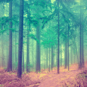 Панно Affresco, коллекция Фрески и фотообои, артикул ID13479