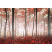 Панно Affresco, коллекция Фрески и фотообои, артикул ID13480