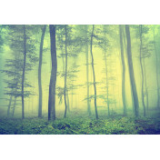 Панно Affresco, коллекция Фрески и фотообои, артикул ID13481