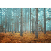 Панно Affresco, коллекция Фрески и фотообои, артикул ID13482