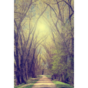 Панно Affresco, коллекция Фрески и фотообои, артикул ID13485