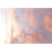 Панно Affresco, коллекция Фрески и фотообои, артикул ID13491