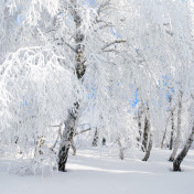 Панно Affresco, коллекция Фрески и фотообои, артикул ID13521