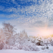 Панно Affresco, коллекция Фрески и фотообои, артикул ID13528