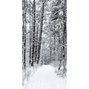 Панно Affresco, коллекция Фрески и фотообои, артикул ID13530