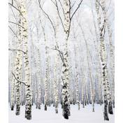 Панно Affresco, коллекция Фрески и фотообои, артикул ID13531