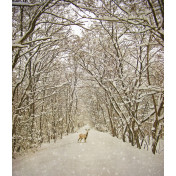 Панно Affresco, коллекция Фрески и фотообои, артикул ID13532