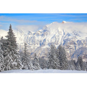 Панно Affresco, коллекция Фрески и фотообои, артикул ID13534