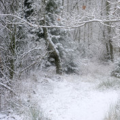 Панно Affresco, коллекция Фрески и фотообои, артикул ID13535