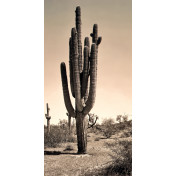 Панно Affresco, коллекция Фрески и фотообои, артикул ID13544