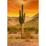 Панно Affresco, коллекция Фрески и фотообои, артикул ID13554