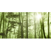 Панно Affresco, коллекция Фрески и фотообои, артикул ID135667