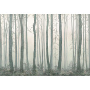 Панно Affresco, коллекция Фрески и фотообои, артикул ID135957