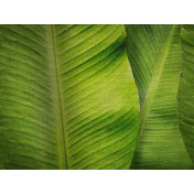 Панно Affresco, коллекция New Art, артикул RE196 COL1