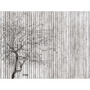 Панно Affresco, коллекция Re-Space, артикул IV109 COL1