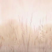 Панно Affresco, коллекция Trend Art, артикул ZK420 COL1