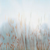 Панно Affresco, коллекция Trend Art, артикул ZK420 COL2