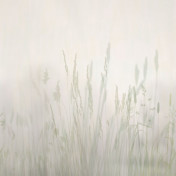 Панно Affresco, коллекция Trend Art, артикул ZK420 COL3