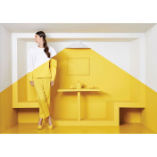 Английская краска Little greene, цвет 47 mister david