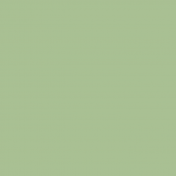 Английская краска Little Greene, цвет Lg 91 pea green