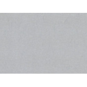 Английские обои 1838 Wallcoverings, коллекция Camellia, артикул 1703-114-04