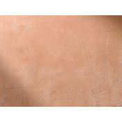 Итальянские обои Agena, коллекция The Kiss Lovers, артикул 100002