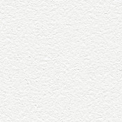 Обои Alessandro Allori Barbara R65438-1