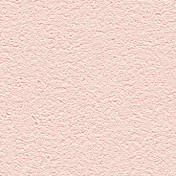 Обои Alessandro Allori Barbara R65438-10