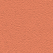 Обои Alessandro Allori Barbara R65438-14