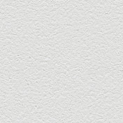 Обои Alessandro Allori Barbara R65438-17