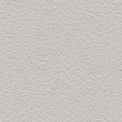 Обои Alessandro Allori Barbara R65438-18