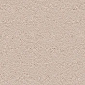 Обои Alessandro Allori Barbara R65438-21