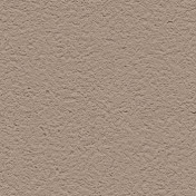 Обои Alessandro Allori Barbara R65438-22