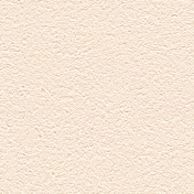 Обои Alessandro Allori Barbara R65438-9