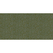 Обои Alessandro Allori Breeze RDT2205-8