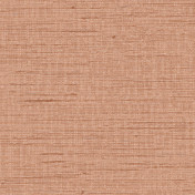 Обои Alessandro Allori Grace RWT1807-10