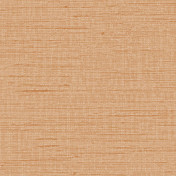 Обои Alessandro Allori Grace RWT1807-9