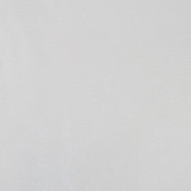 Обои Alessandro Allori Provasi RST2502-9